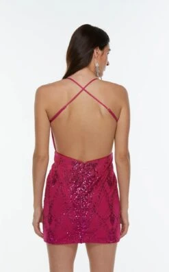 Alyce 4515 Dress -THE DRESS WARE HOUSE 4515 RASPBERRY 2