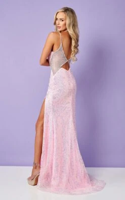 Rachel Allan 70426 Dress -THE DRESS WARE HOUSE 70426 Pink b 8aa34813 7548 485a a863 dd7118e0a865