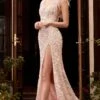 Cinderella Divine CD248 Dress