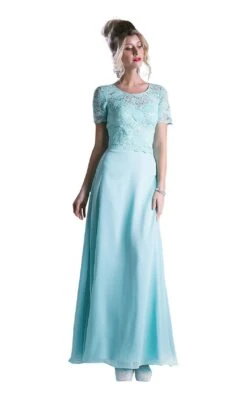 Cinderella Divine CF160 Dress -THE DRESS WARE HOUSE CF160 4 1fe6ae1b a8c3 40e1 9b8d ab4e497e20a7 507546