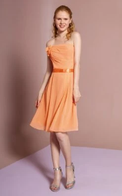 Elizabeth K GS1080 Dress -THE DRESS WARE HOUSE GS1080 ORANGE 1O b5b5ca9a 1d23 4b52 8cb2 da53e674ede1