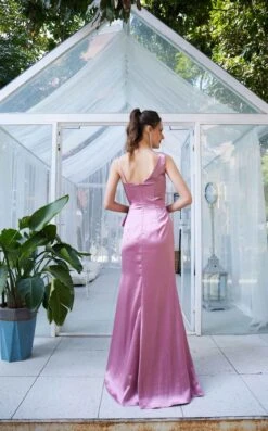 Jadore J21034 Dress -THE DRESS WARE HOUSE J21034 Mauve 2 175347