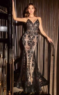 Cinderella Divine J810 Dress