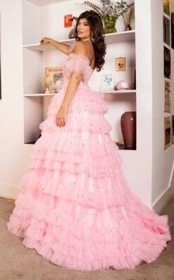 Rachel Allan 70675 Dress -THE DRESS WARE HOUSE Rachel Allan 70675 pink 02 5068a24d 5fda 411c b1ec e1e2e30b572b