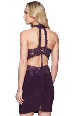 Faviana 8071 Dress -THE DRESS WARE HOUSE faviana 8071 Plum Back 576059