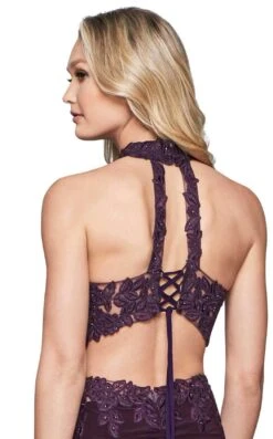 Faviana 8071 Dress -THE DRESS WARE HOUSE faviana 8071 Plum Back zoom 125248